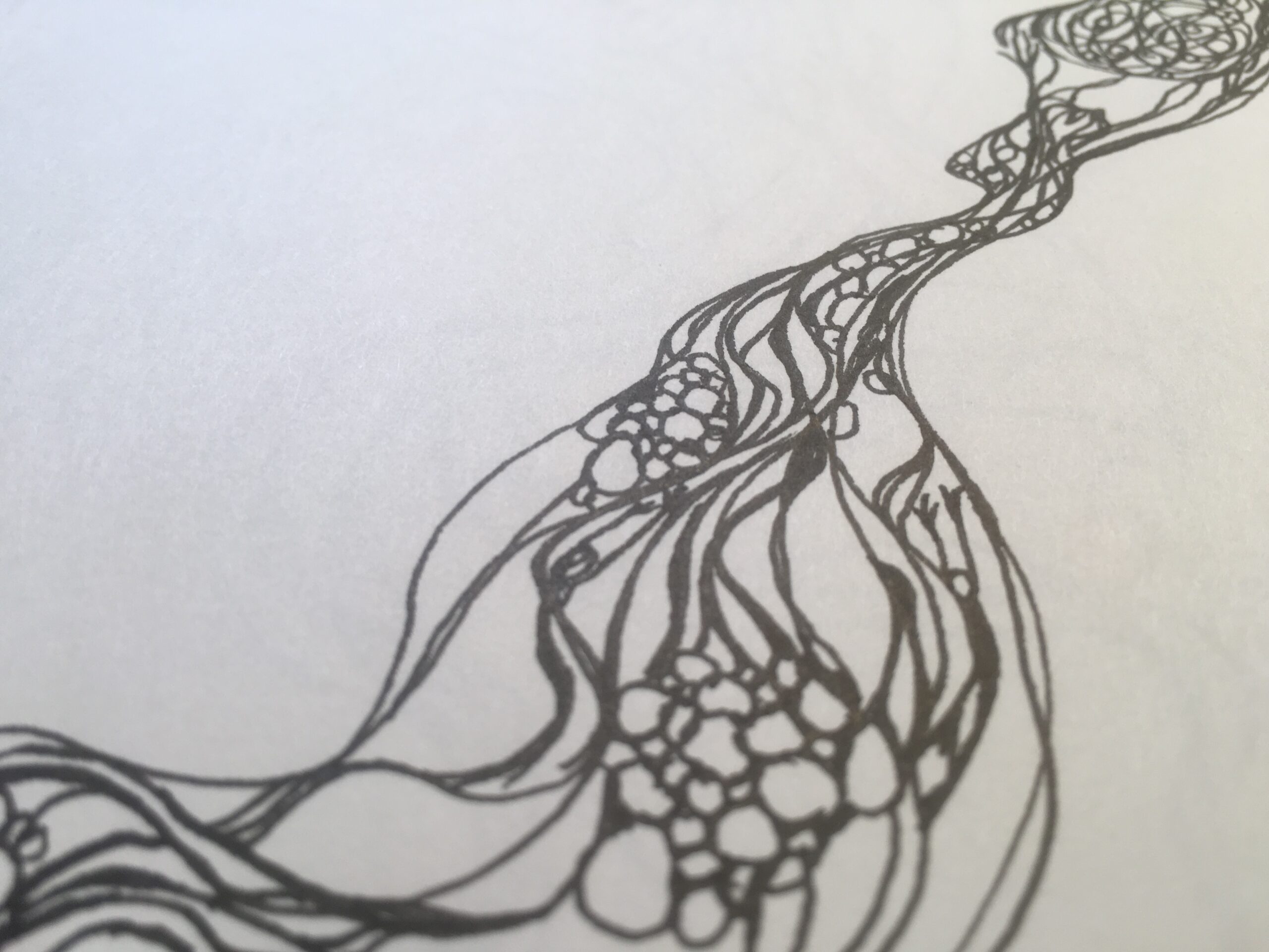 Biomass